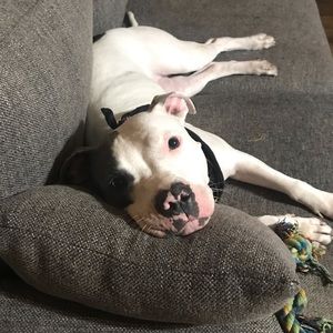 Meet your Posher, Diana